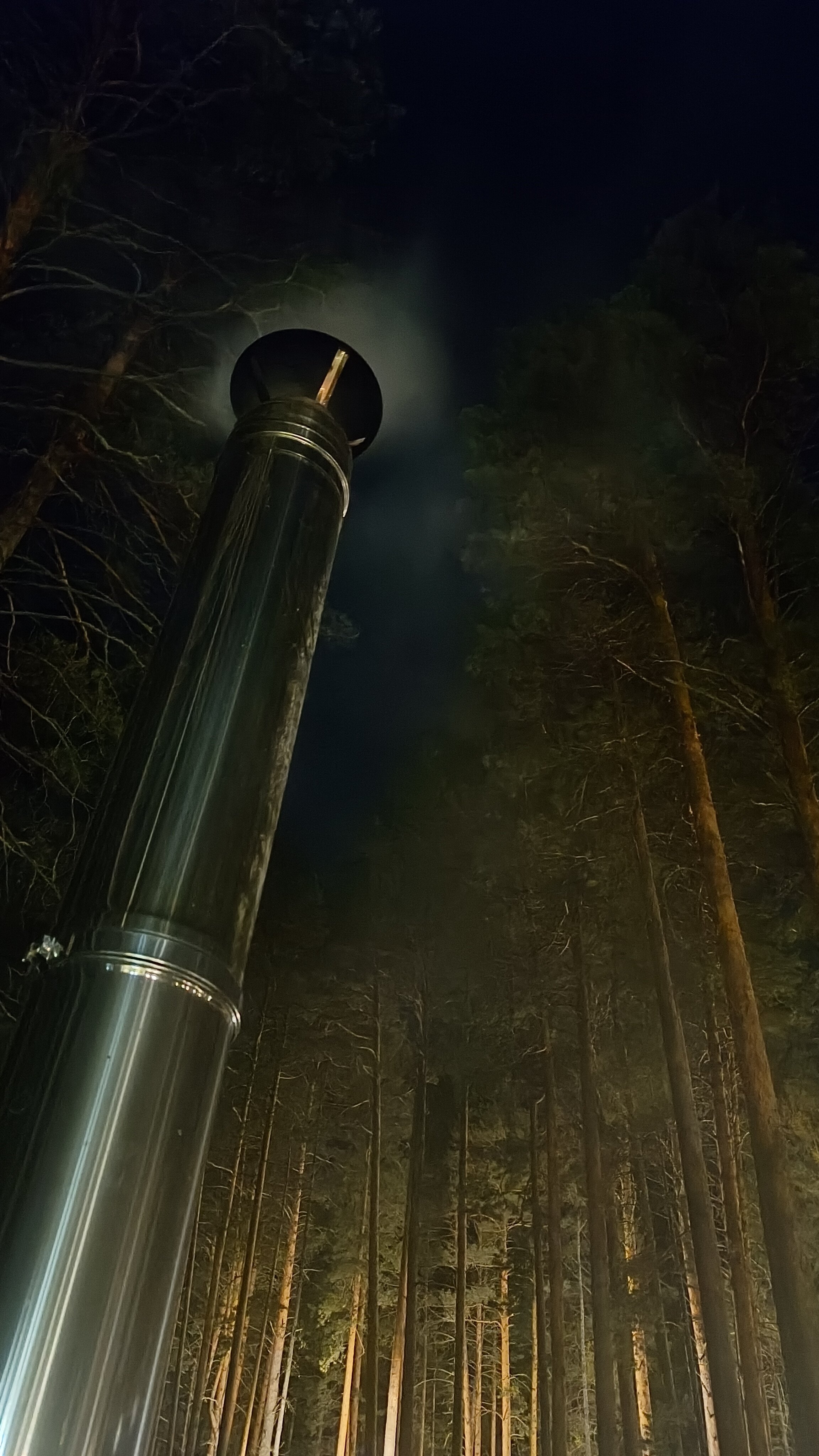 Фото Мишкины Шишки