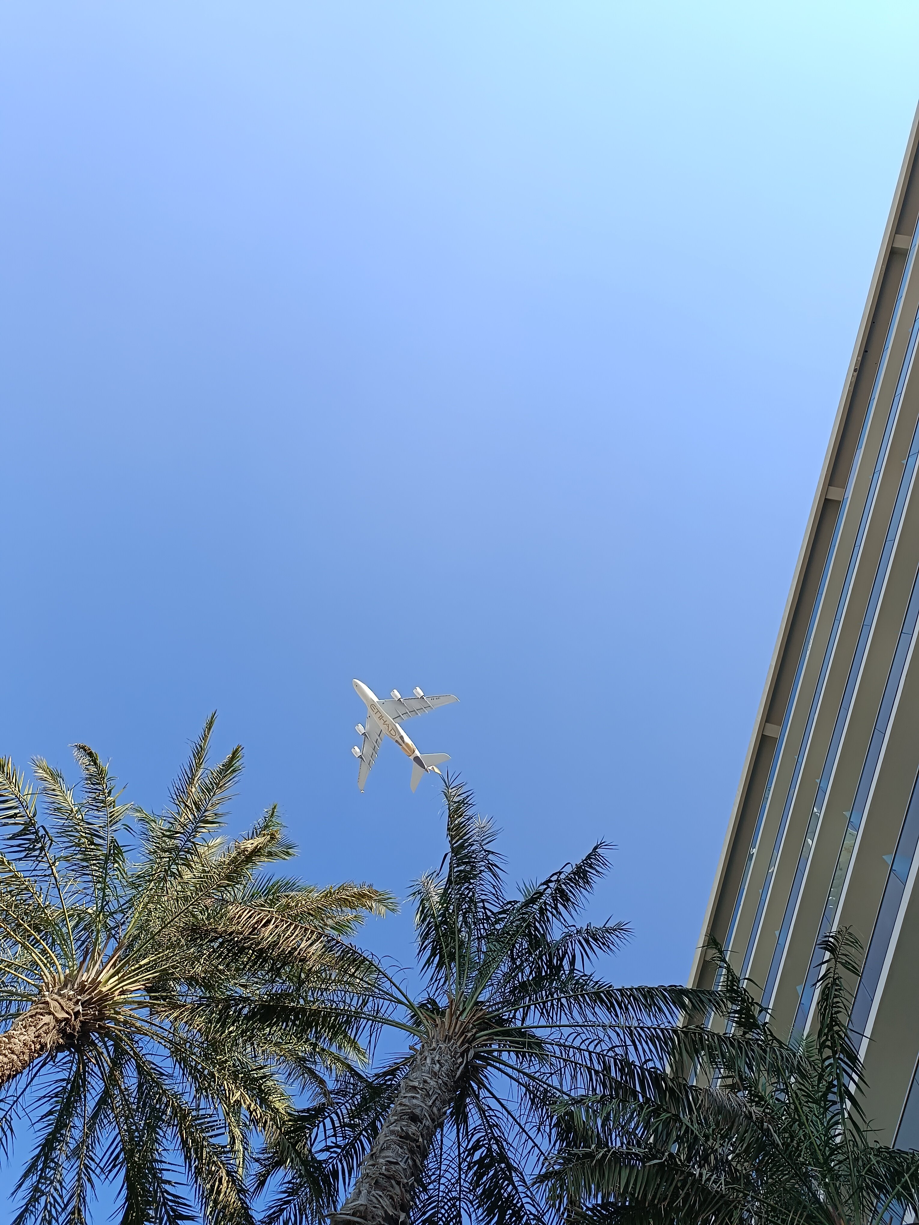 Фото Park Inn by Radisson Abu Dhabi Yas Island