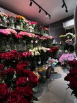 Смородина (posyolok gorodskogo tipa Sibirtsevo, Krasnoarmeyskaya ulitsa, 3), flower shop