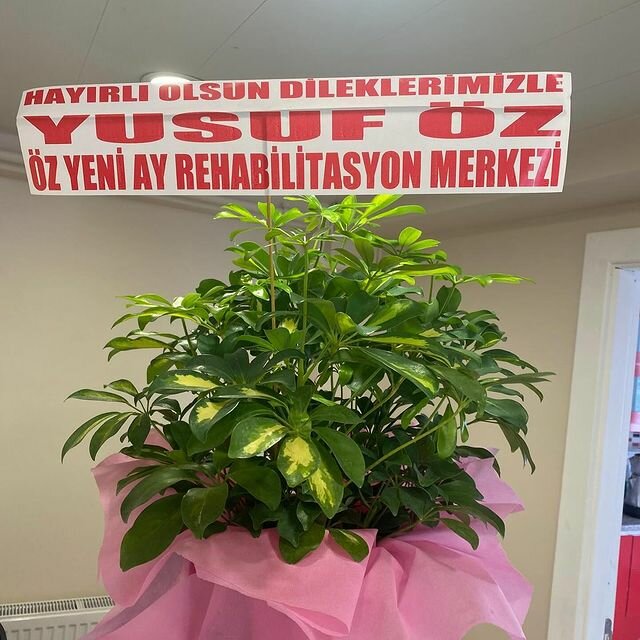 Educational center Oz Yeni Ay Special Education and Rehabilitation Center, Kastamonu, photo