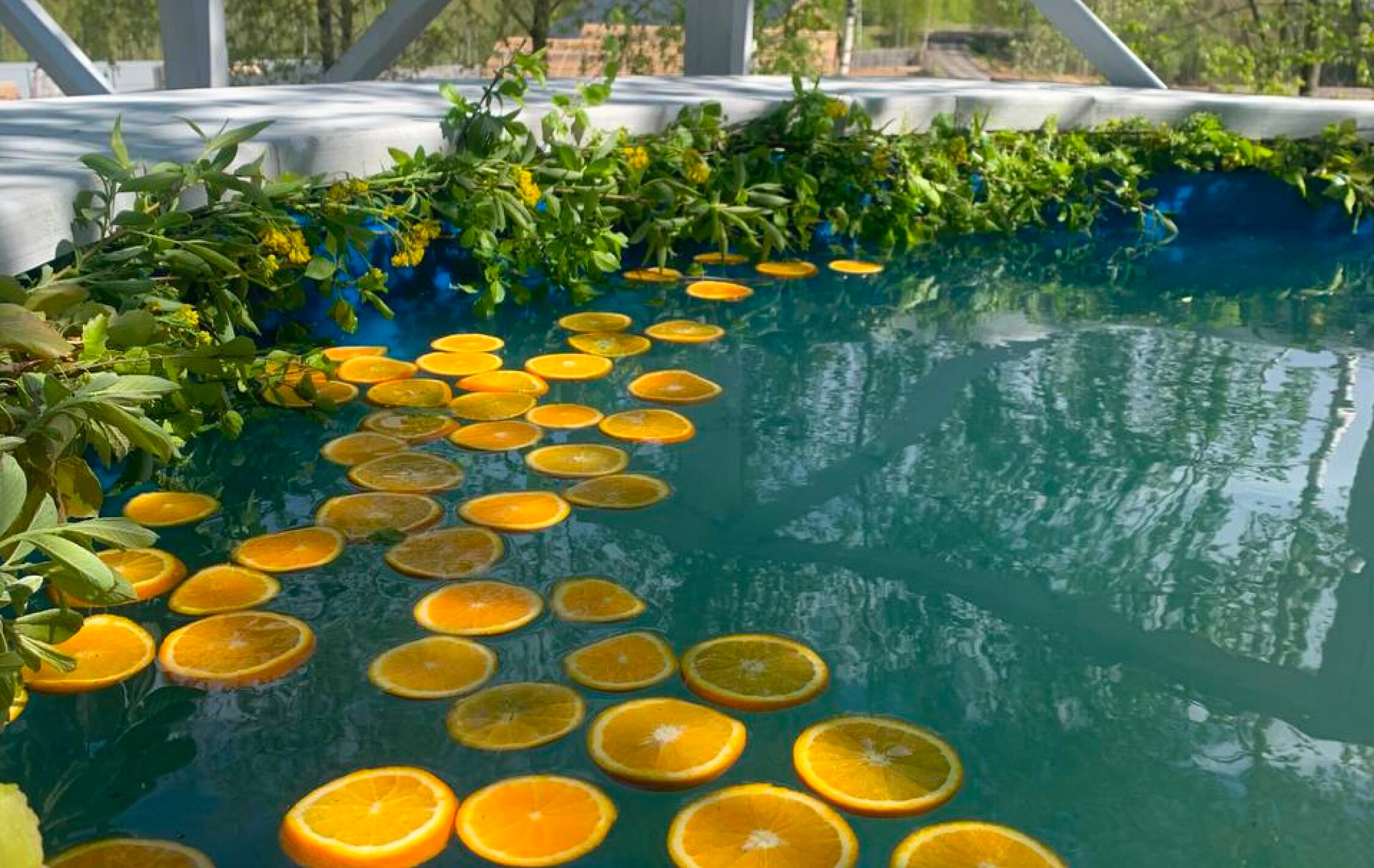 Фото Загорье