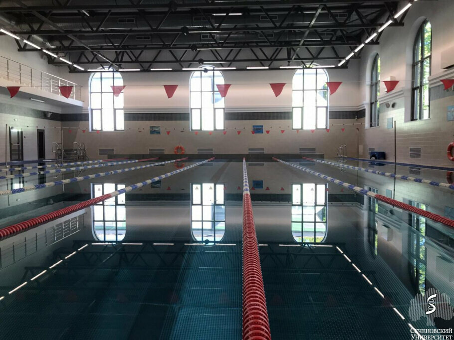 مدرسة السباحة Школа персонального плавания ، موسكو، صورة