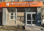 Tsvetochnyi sluchai (Mamina-Sibiryaka Street, 51) ، محل زهور