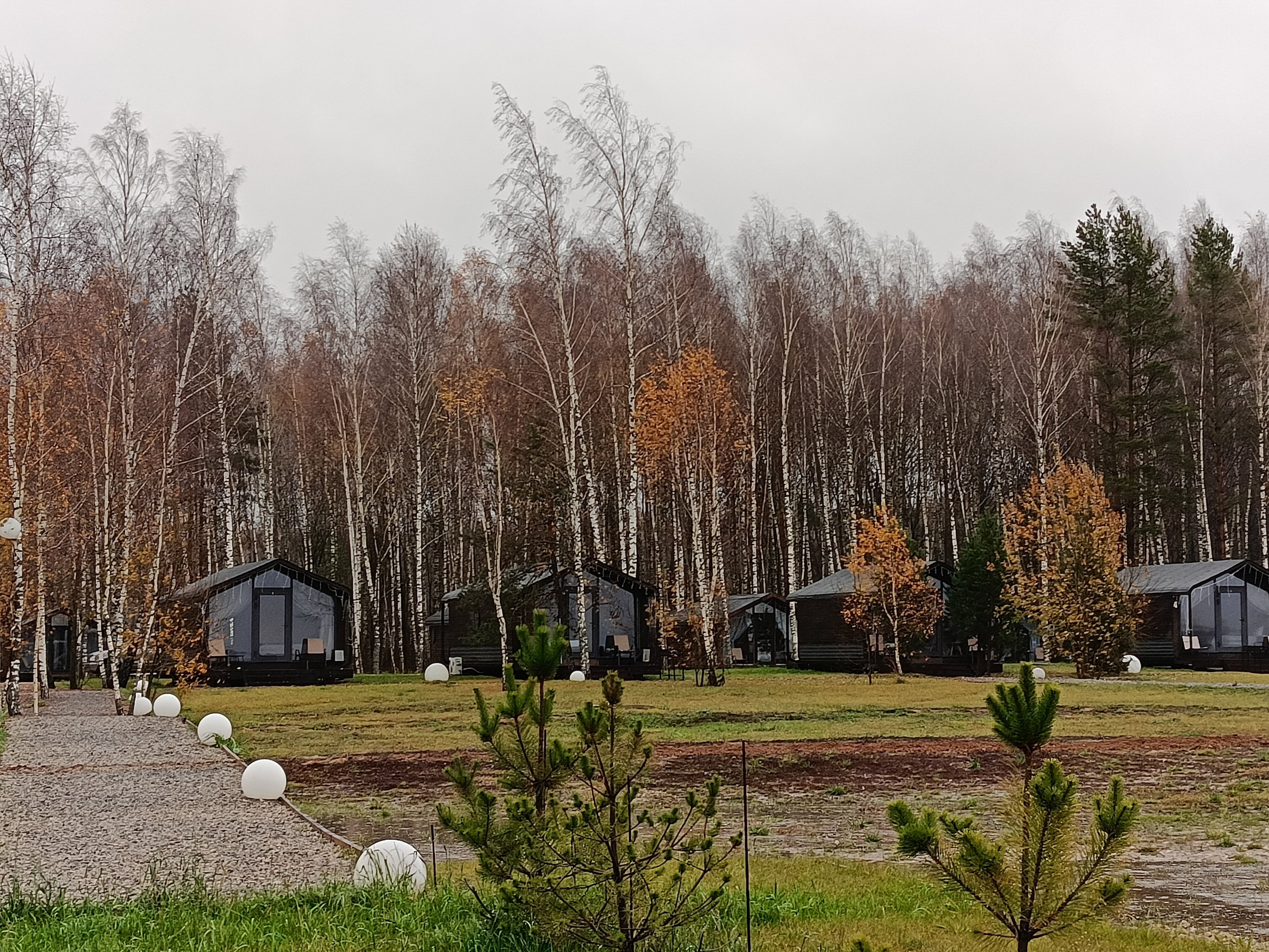 Фото Михеево Старт