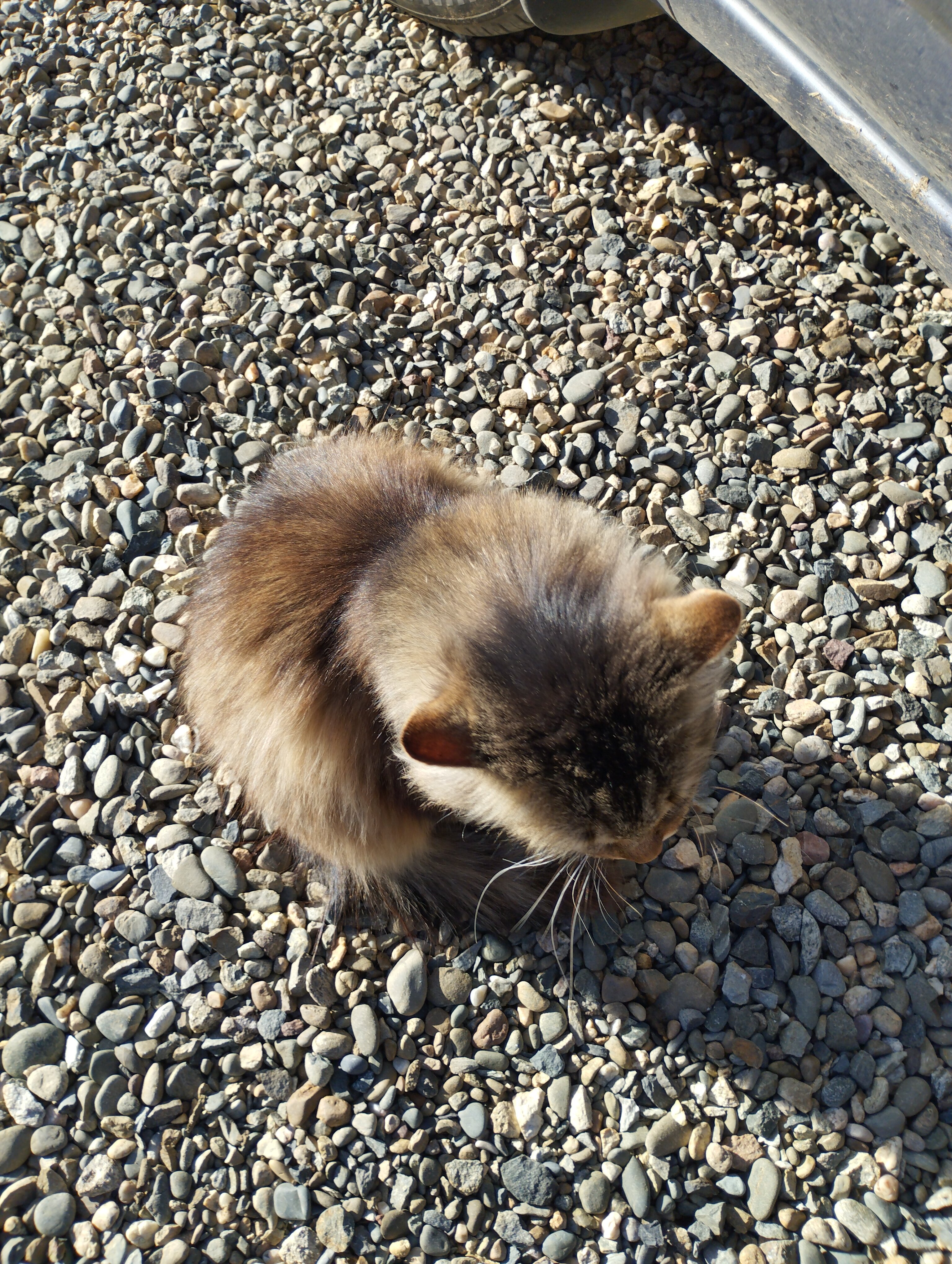 Фото Горы зовут