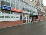 Тюменский Страховой Брокер (ulitsa Nikolaya Zelinskogo, 1), insurance company