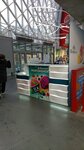 33 Pingvina (Geodezicheskaya Street, 4/1), helado