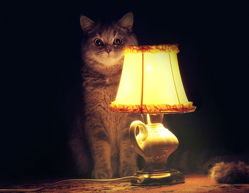 Фото Хостел в центре Петербурга