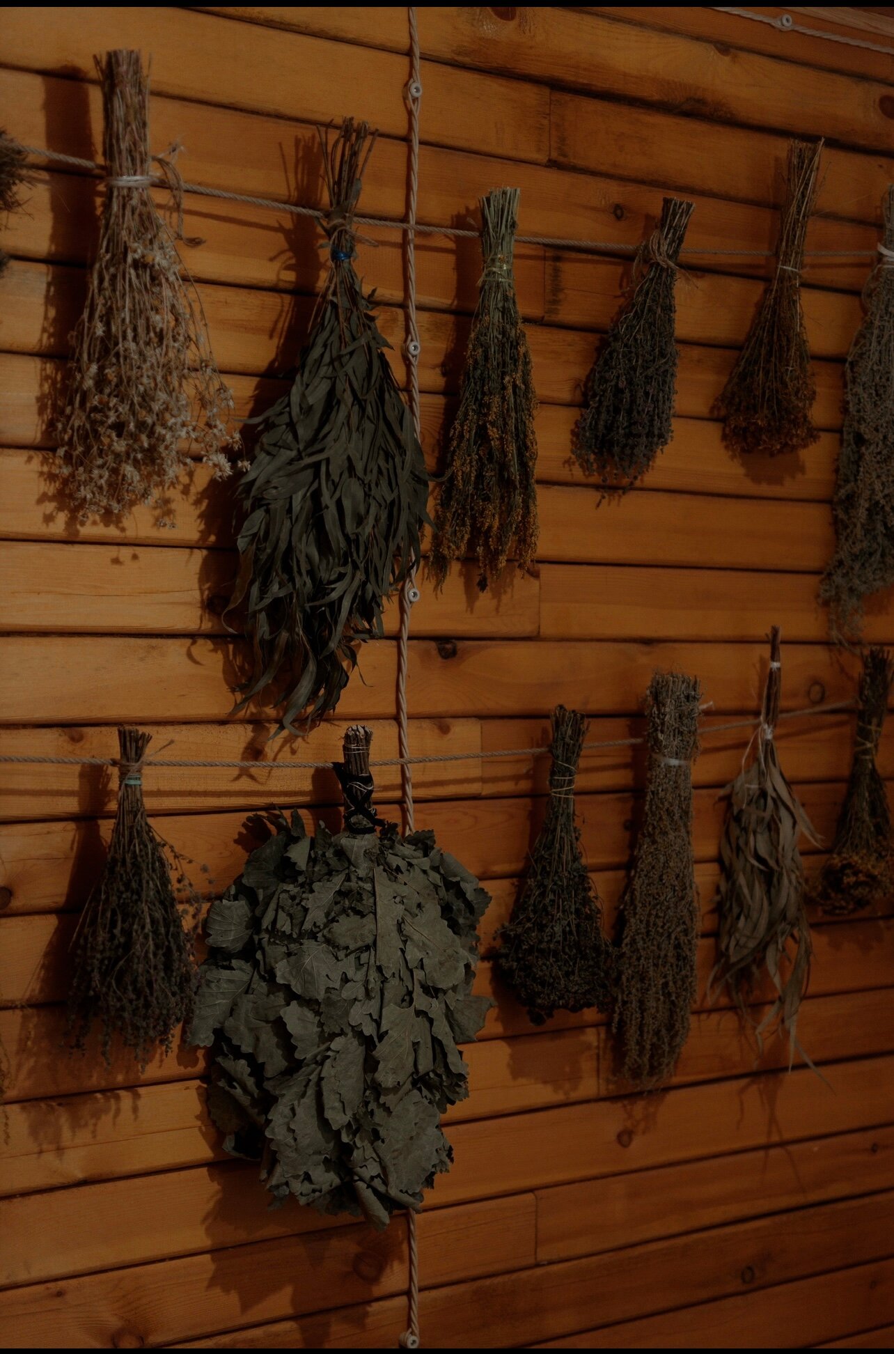 Фото Village Hvoya