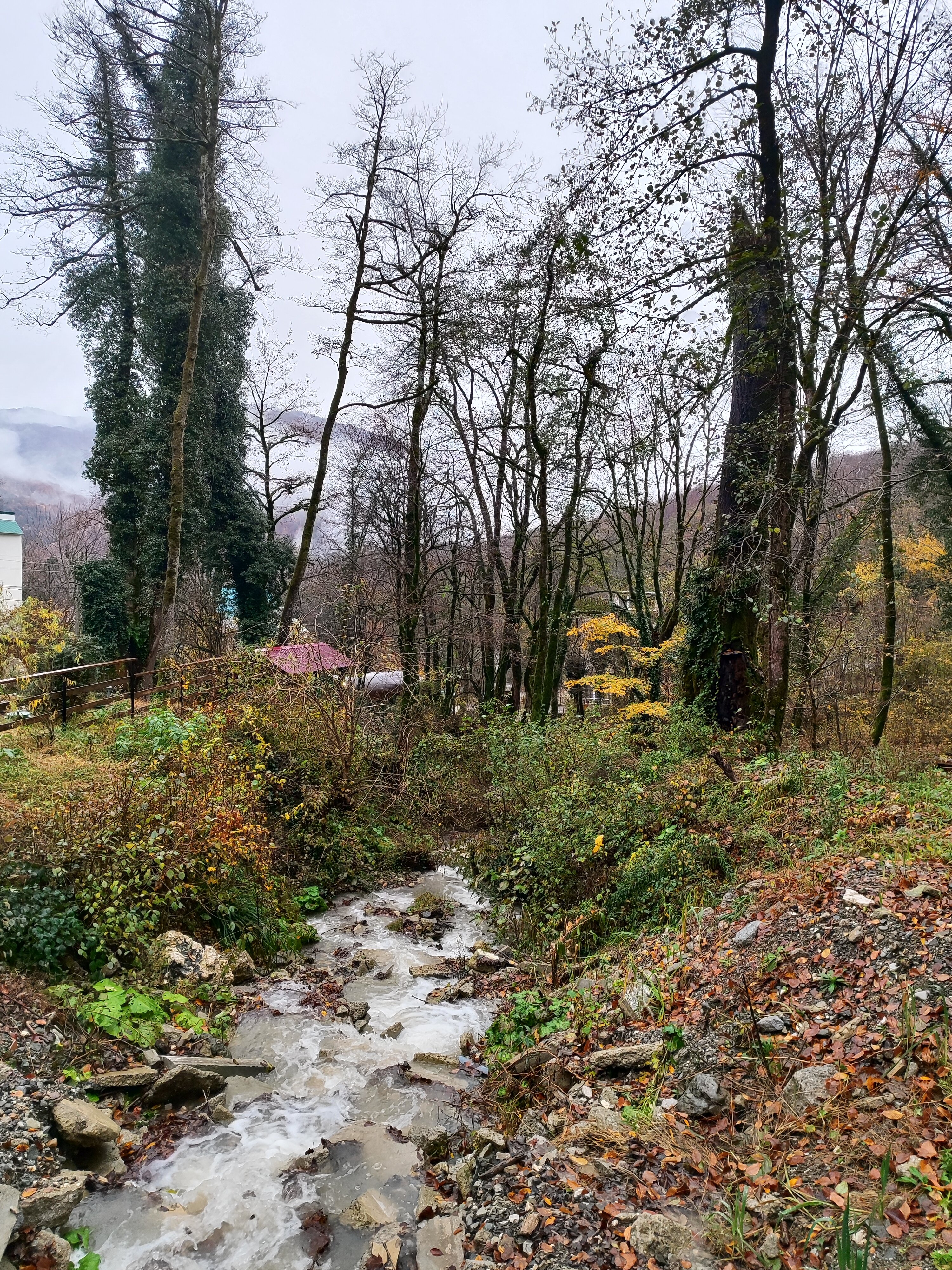 Фото Шале A-Frame Forrest