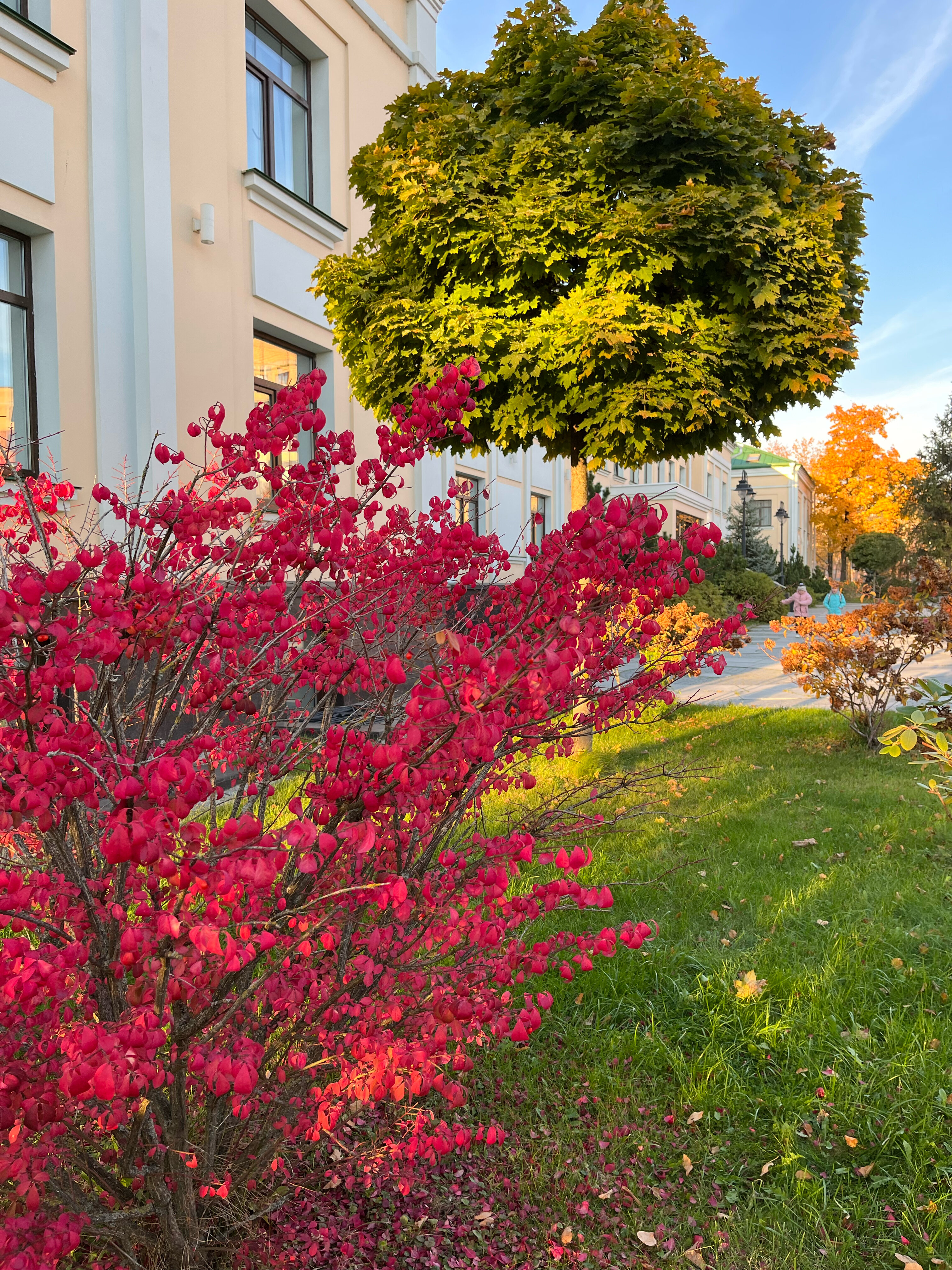 Фото Покровский