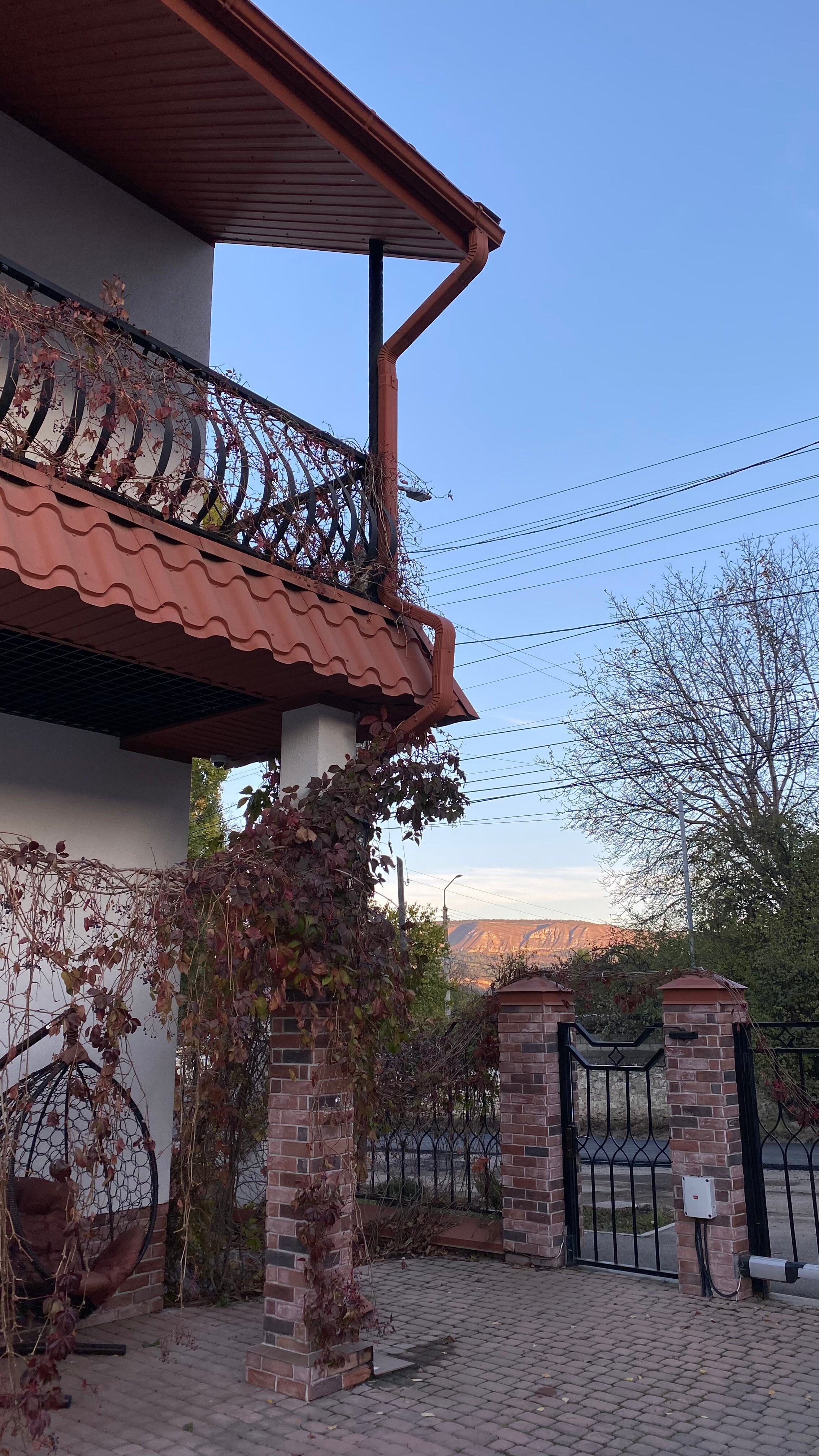 Фото Миндаль