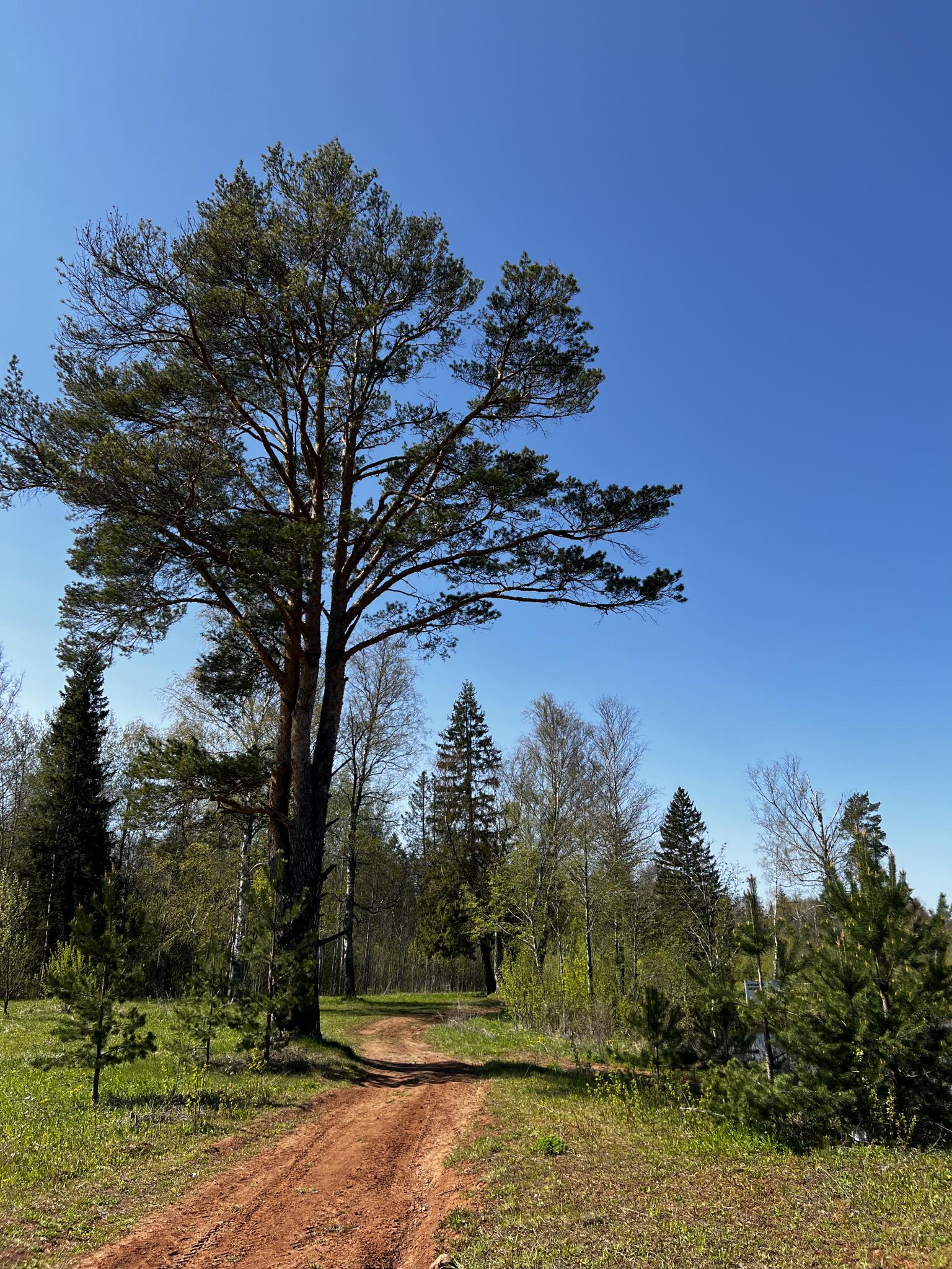 Фото Biathlon Village