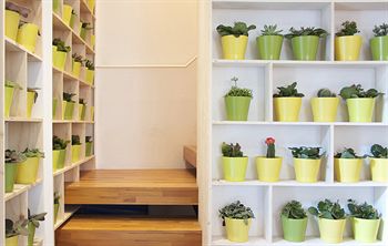 Фото Habitat Luxury Suites Accommodation