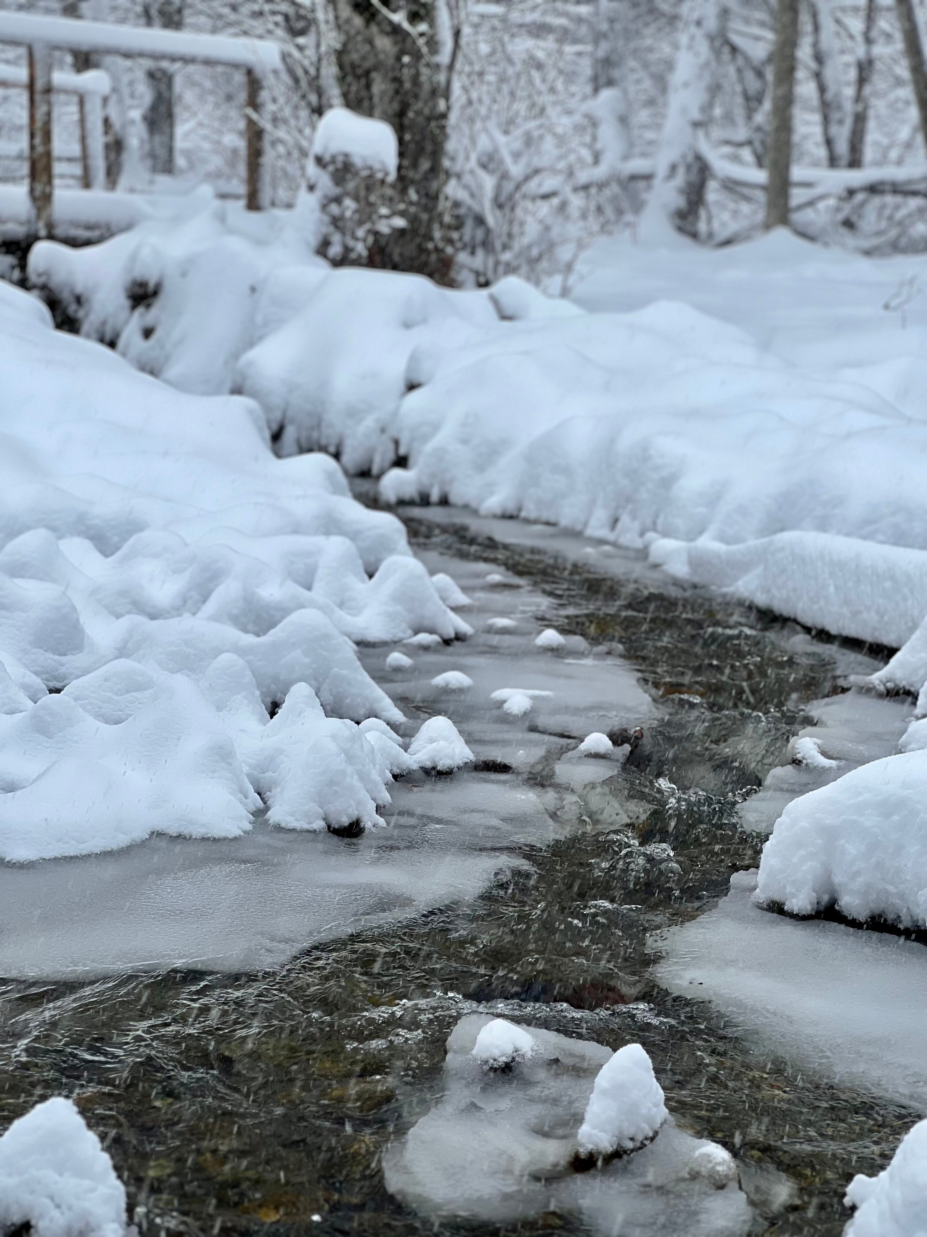 Фото Таулу Архыз
