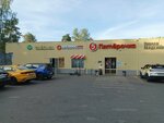 Autodoc.ru (Pushkino, mikrorayon Zavety Ilyicha, Partizanskaya ulitsa, 29А), auto parts and auto goods store