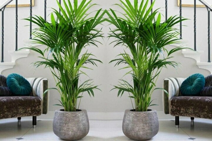 Landscape design Ayvalik Dr Landscape & Nursery, Ayvalik, photo