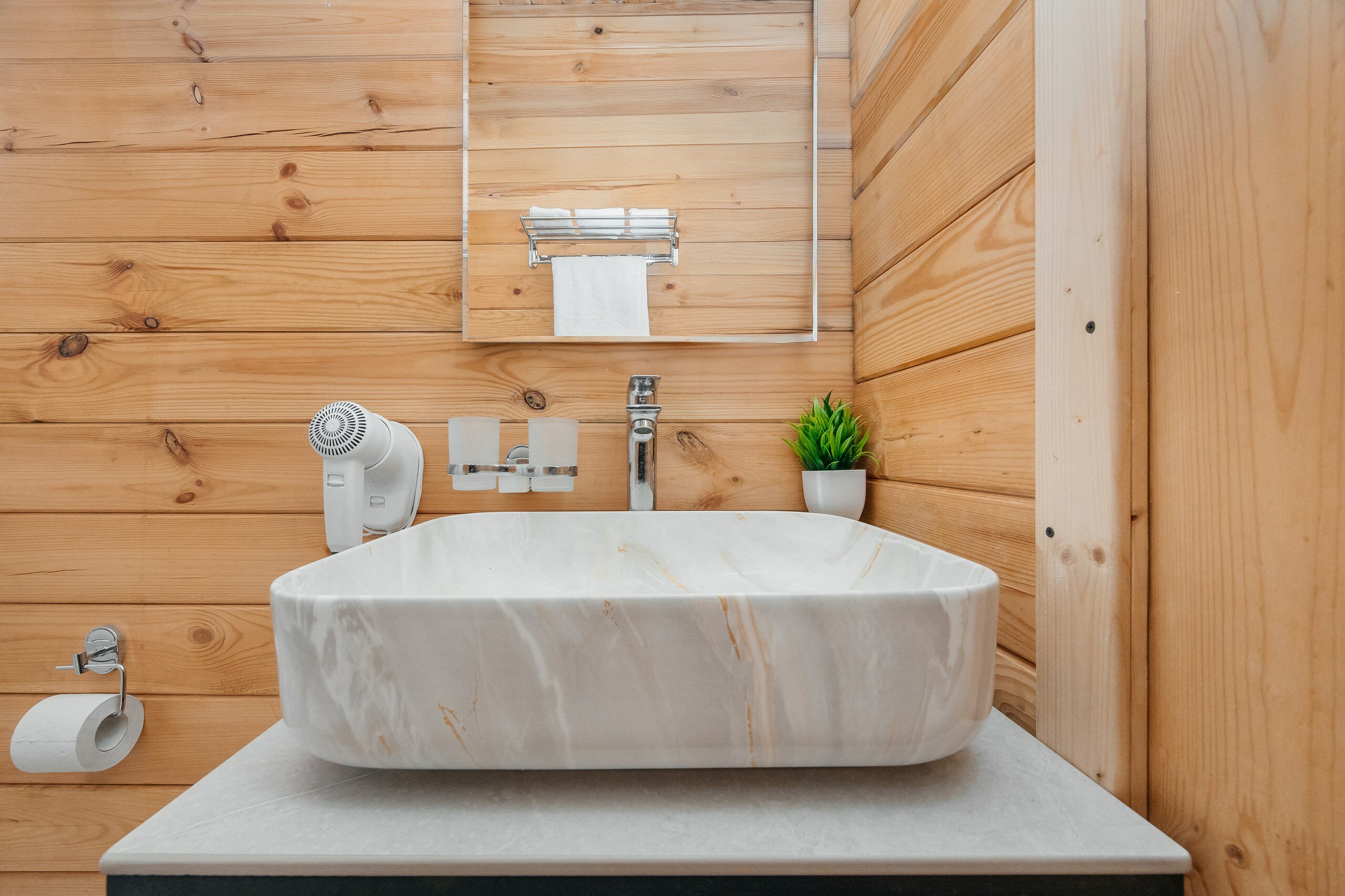 Фото Камелия