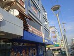 Federation of Yozgat Associations in the Capital (Ankara Province, Sincan District, Atatürk Mah., Lale Cad., 28), organización medioambiental