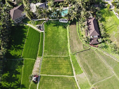 Дом отдыха Mathis Retreat Ubud