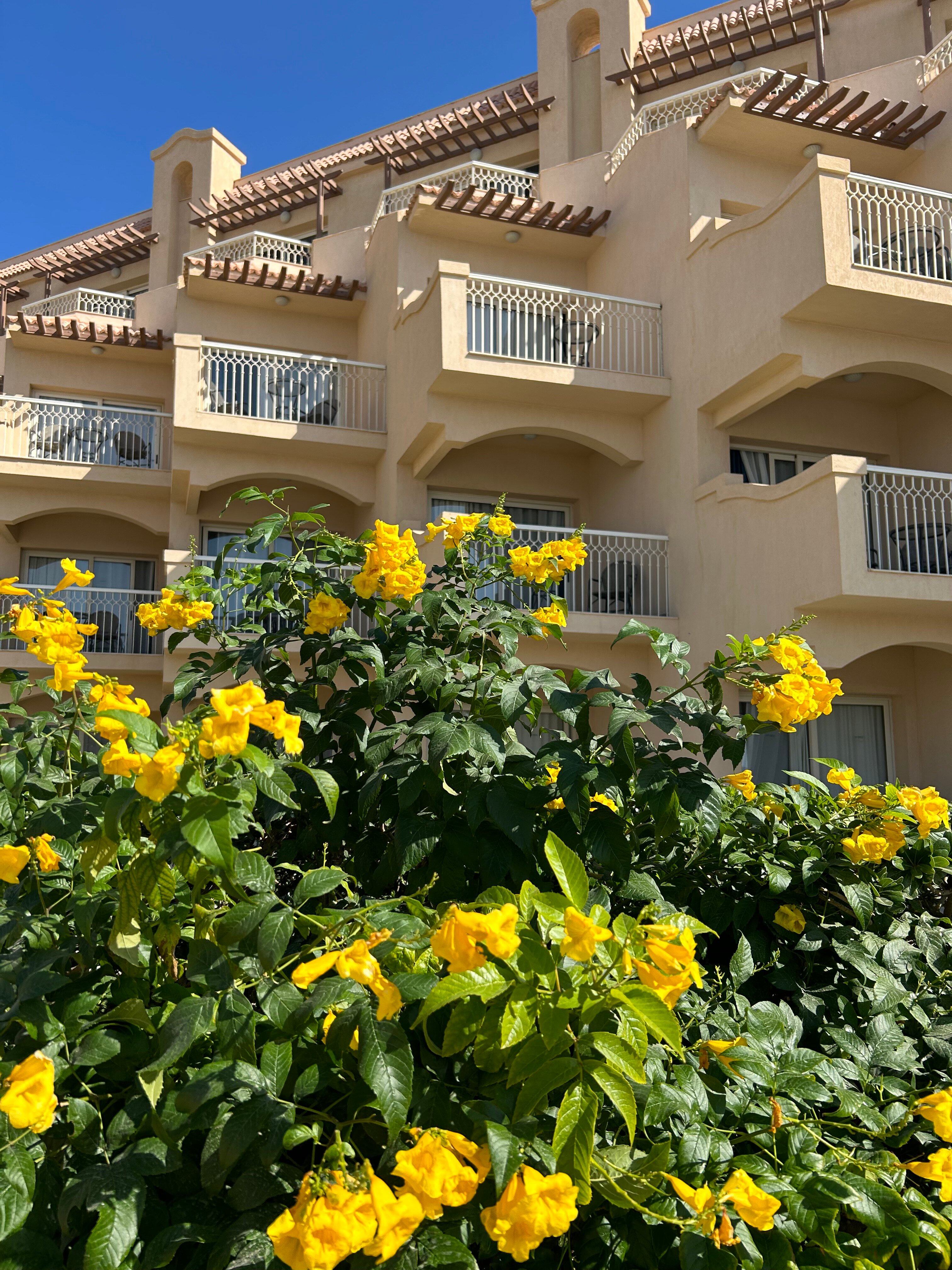 Фото Pyramisa Beach Resort Sahl Hasheesh