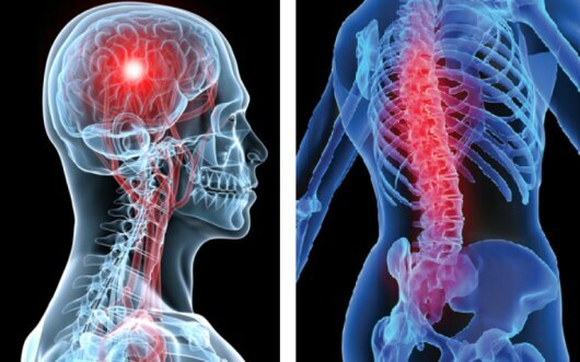 Private practice doctors ProfDrAlparslan Şenel Brain and Nerve Surgery Specialist, Atakum, photo