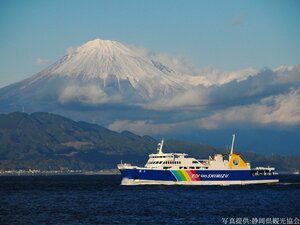 Гостиница Hotel Wing International Shizuoka