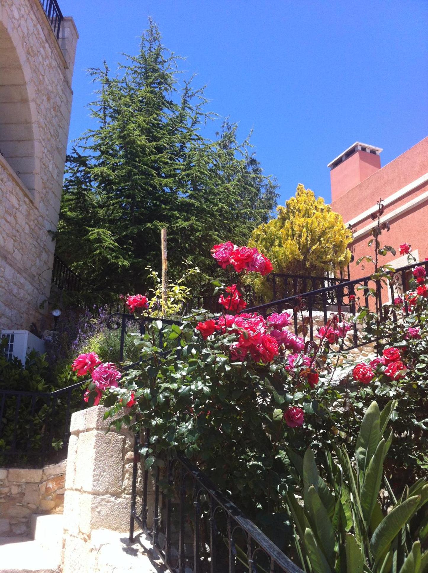 Фото Katalagari Country Suites