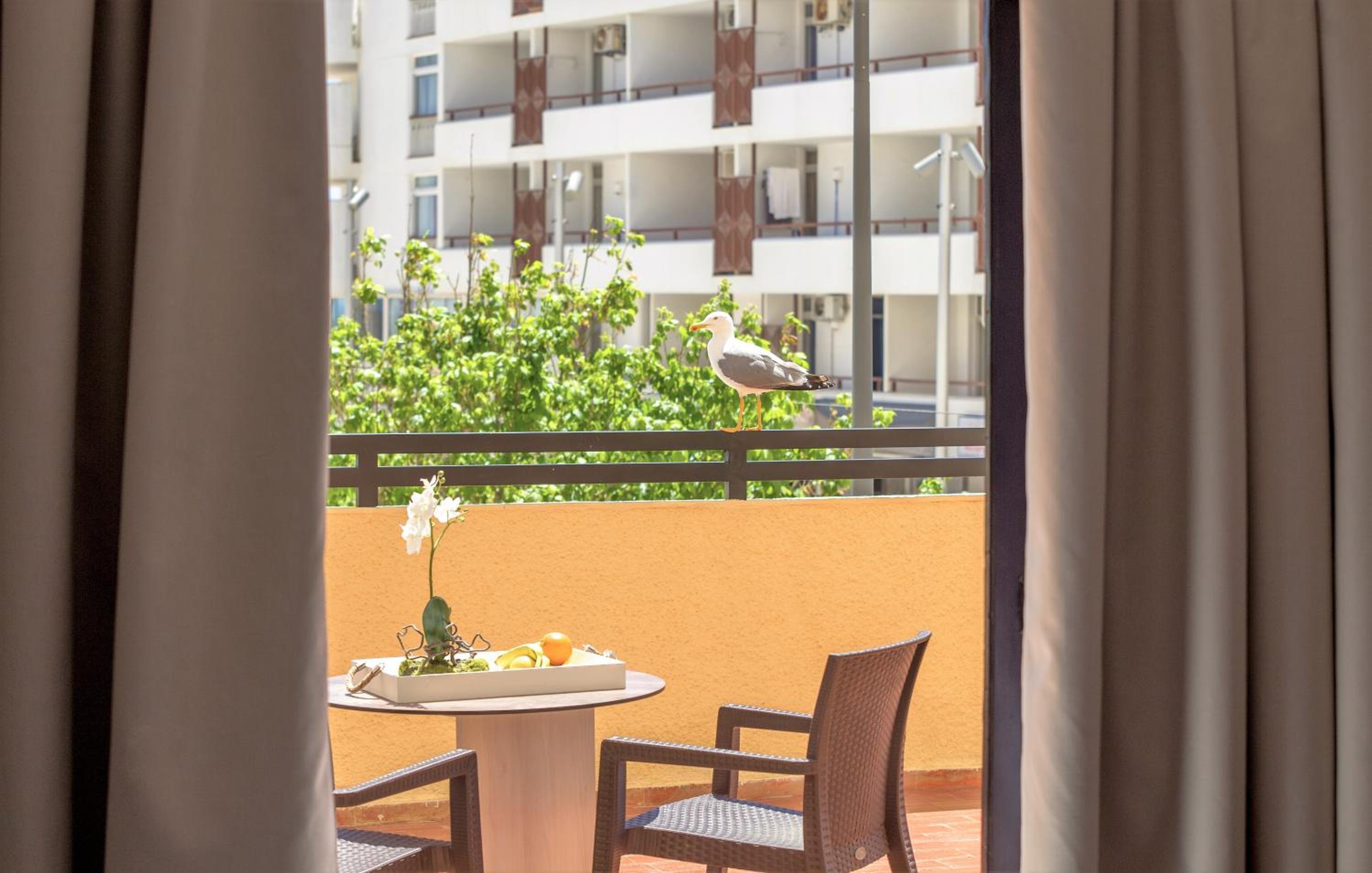 Фото 109574638556