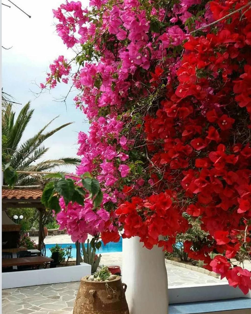 Фото Villa Pari Manda