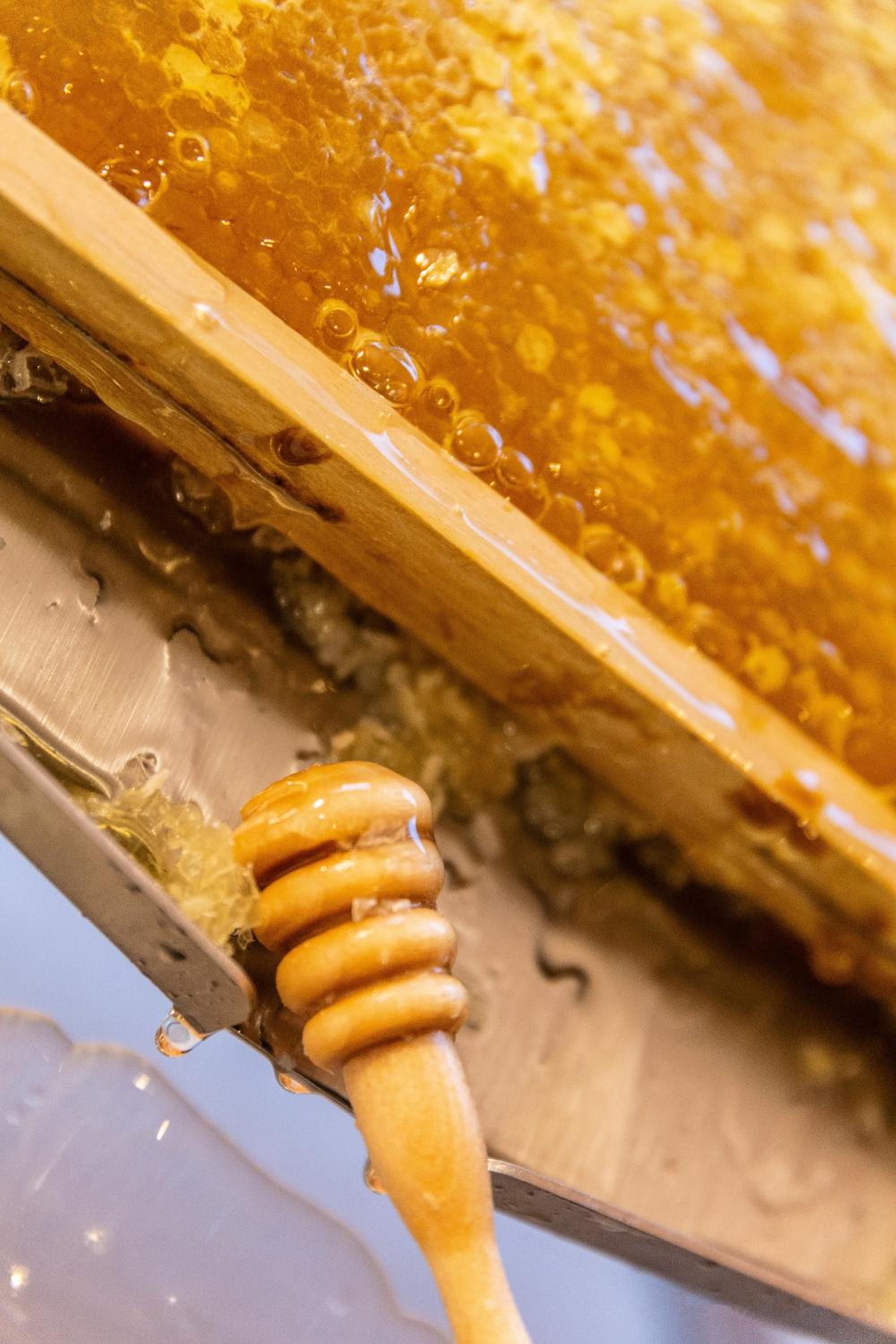 Фото Hotel Beverly