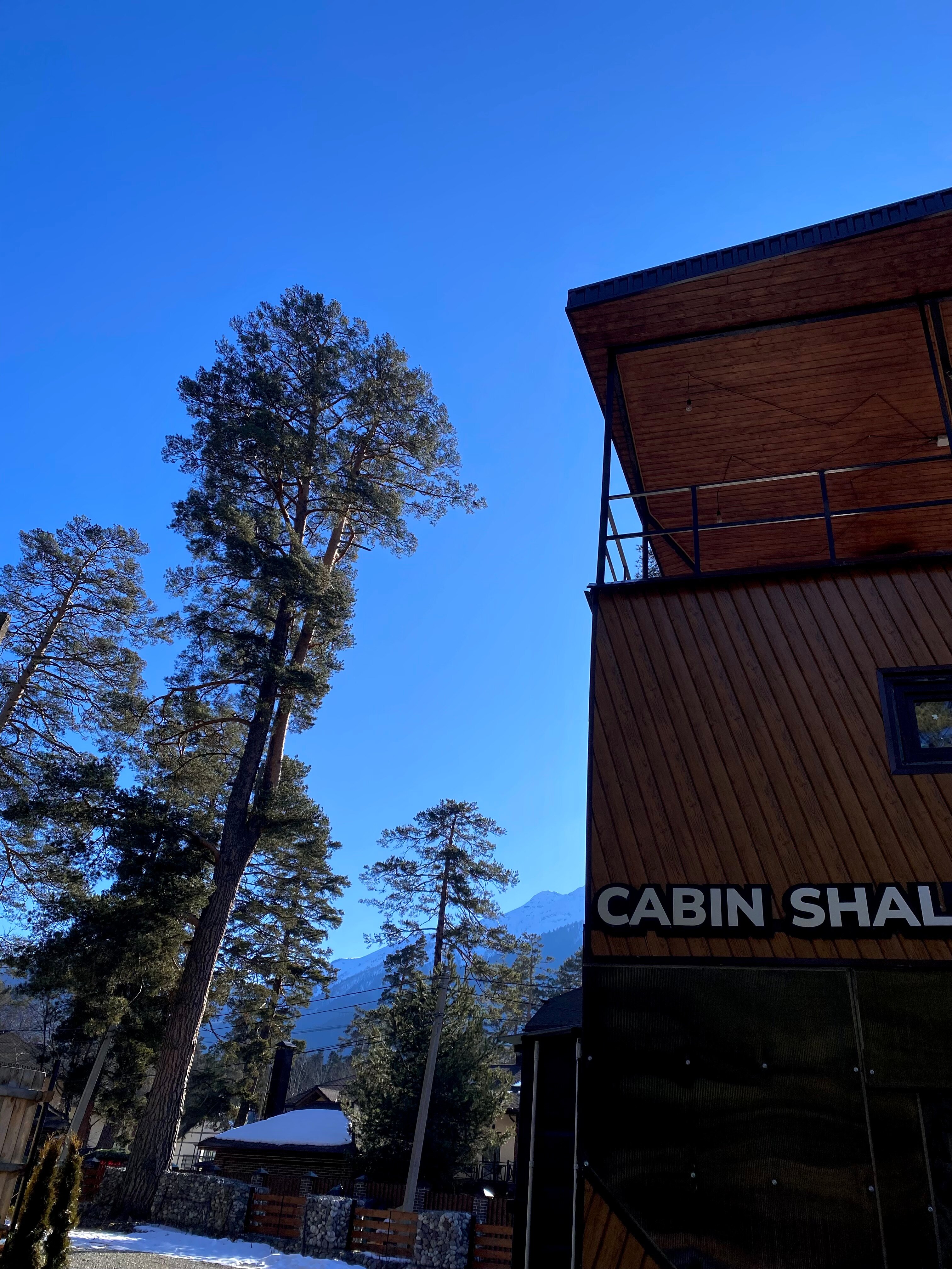 Фото Cabin Shale