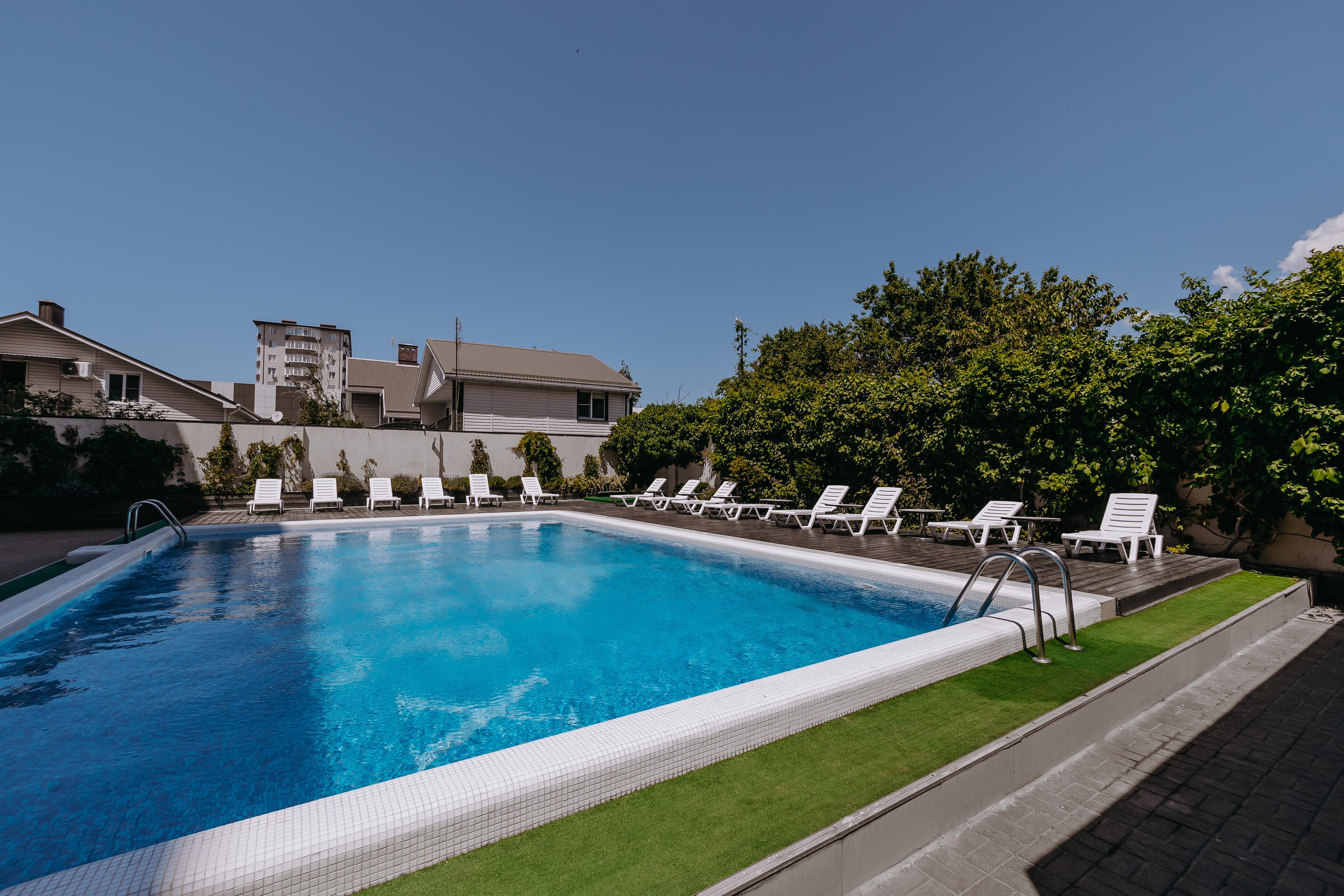 Фото Монарх