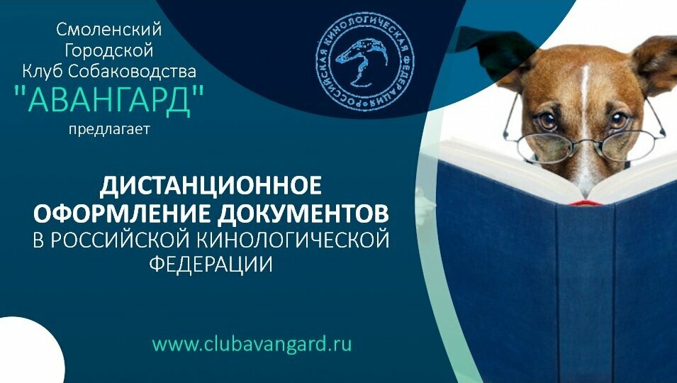 Zoo center Avangard, Smolensk, photo