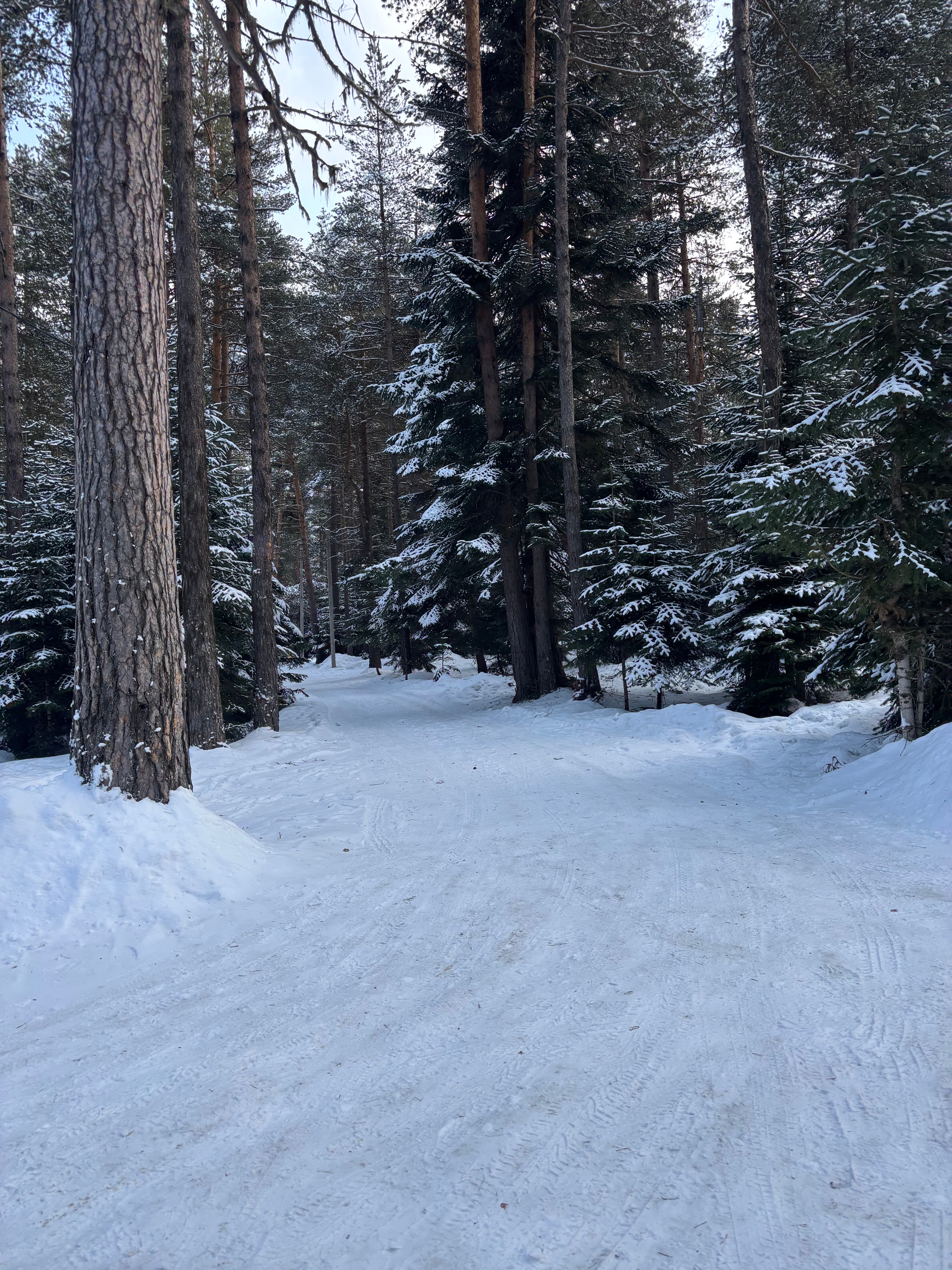 Фото Триумф