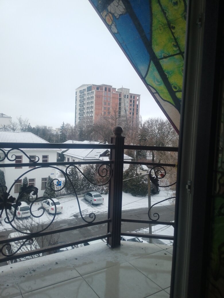 Фото Сакура