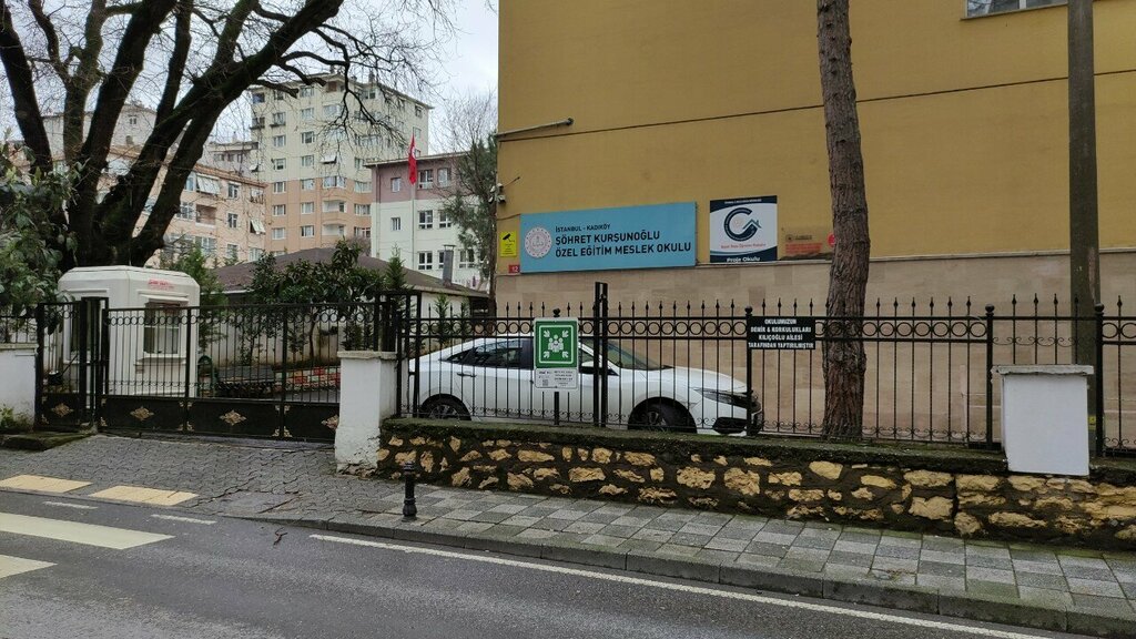 Educational center Shohret Kursunoglu Special Education Vocational Education Center, Istanbul, photo