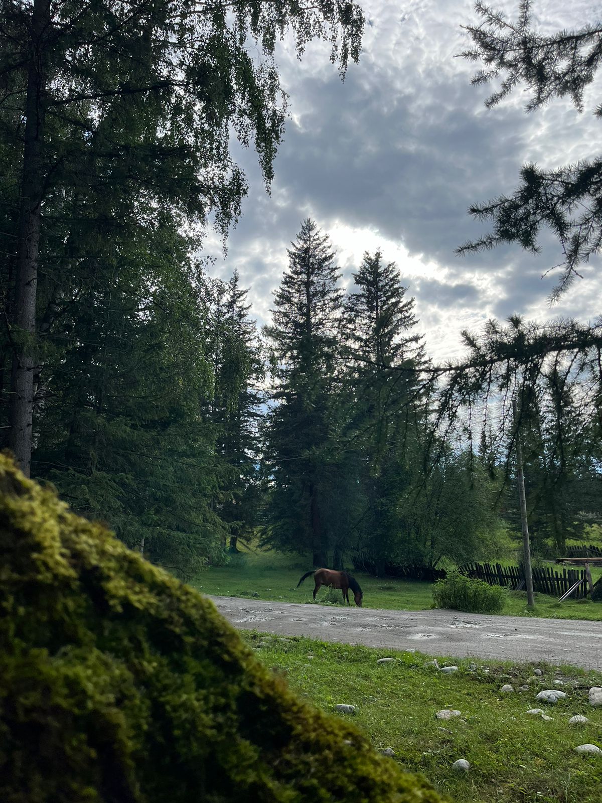 Фото Синегорье