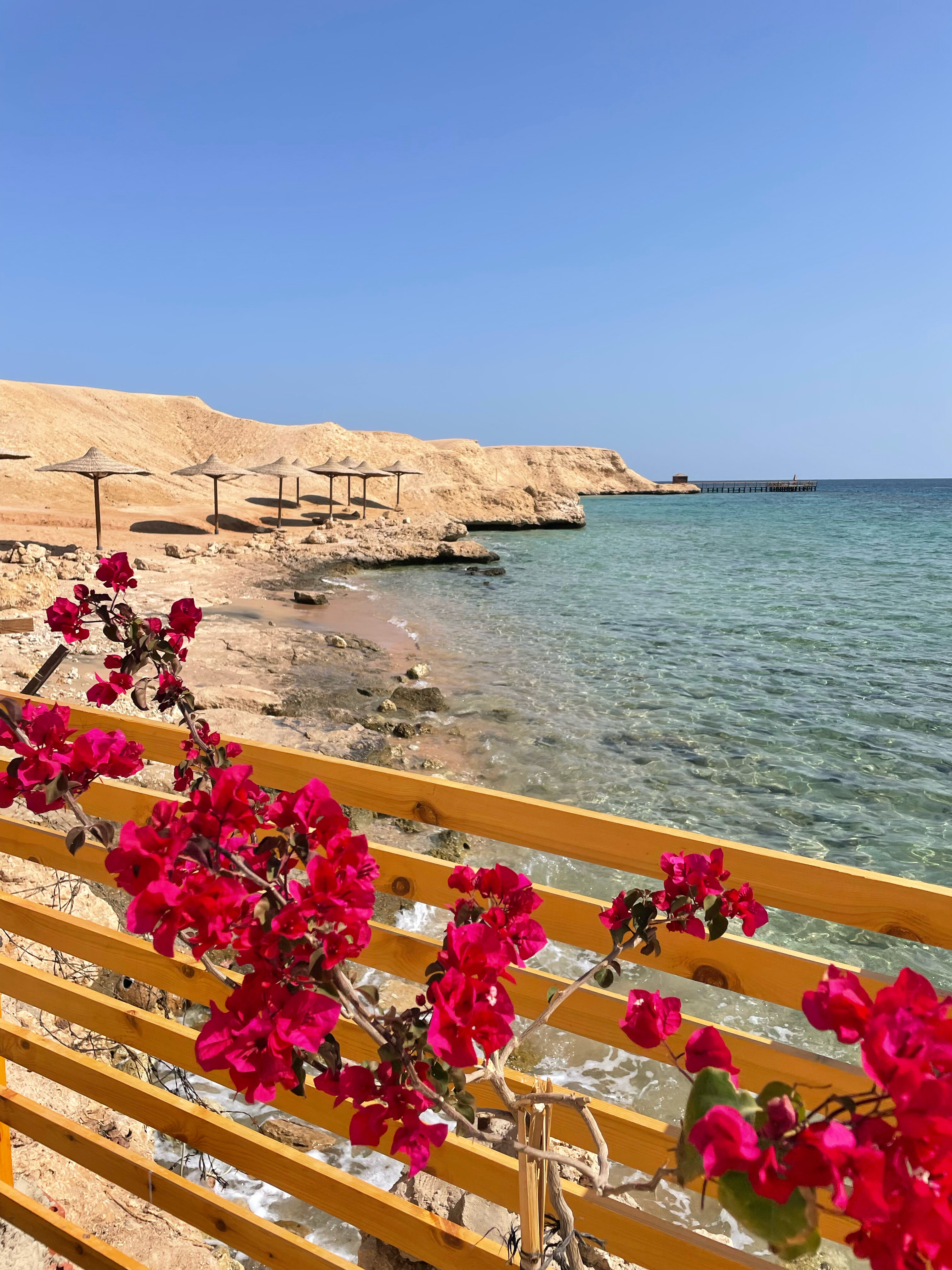 Фото Swissotel Sharm El Sheikh All-Inclusive Collection Resort