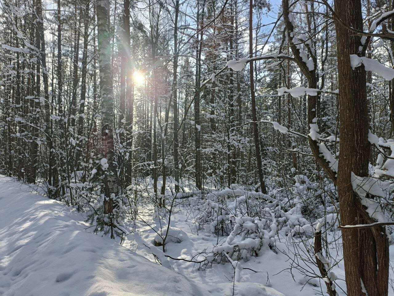 Фото Твой другой воздух - коттедж Юпитер