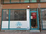 Lotus Endustriyel Temizlik Urunleri (Istanbul, Maltepe, Baglarbasi Neighborhood, Galip Arcan Street, 3B) ، بيع المواد الكيميائية المنزلية بالجملة