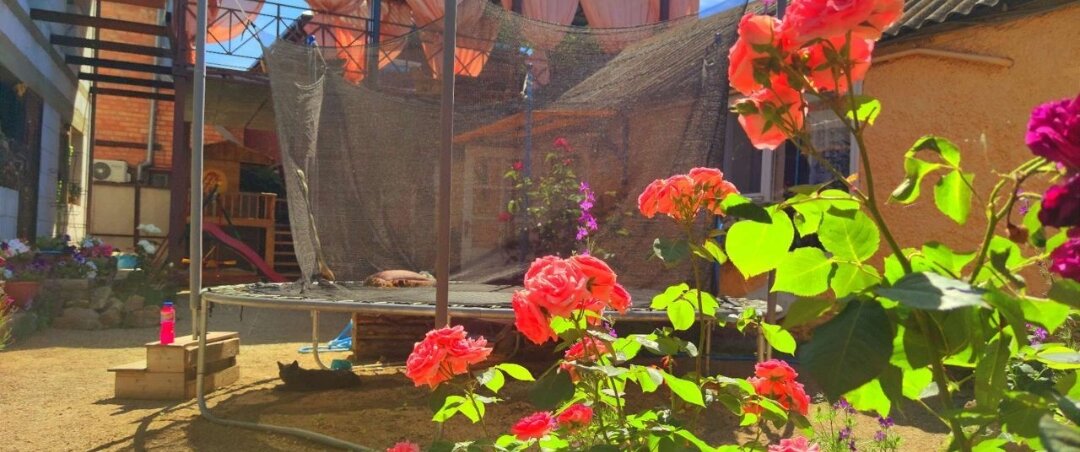 Фото Семейный уголок