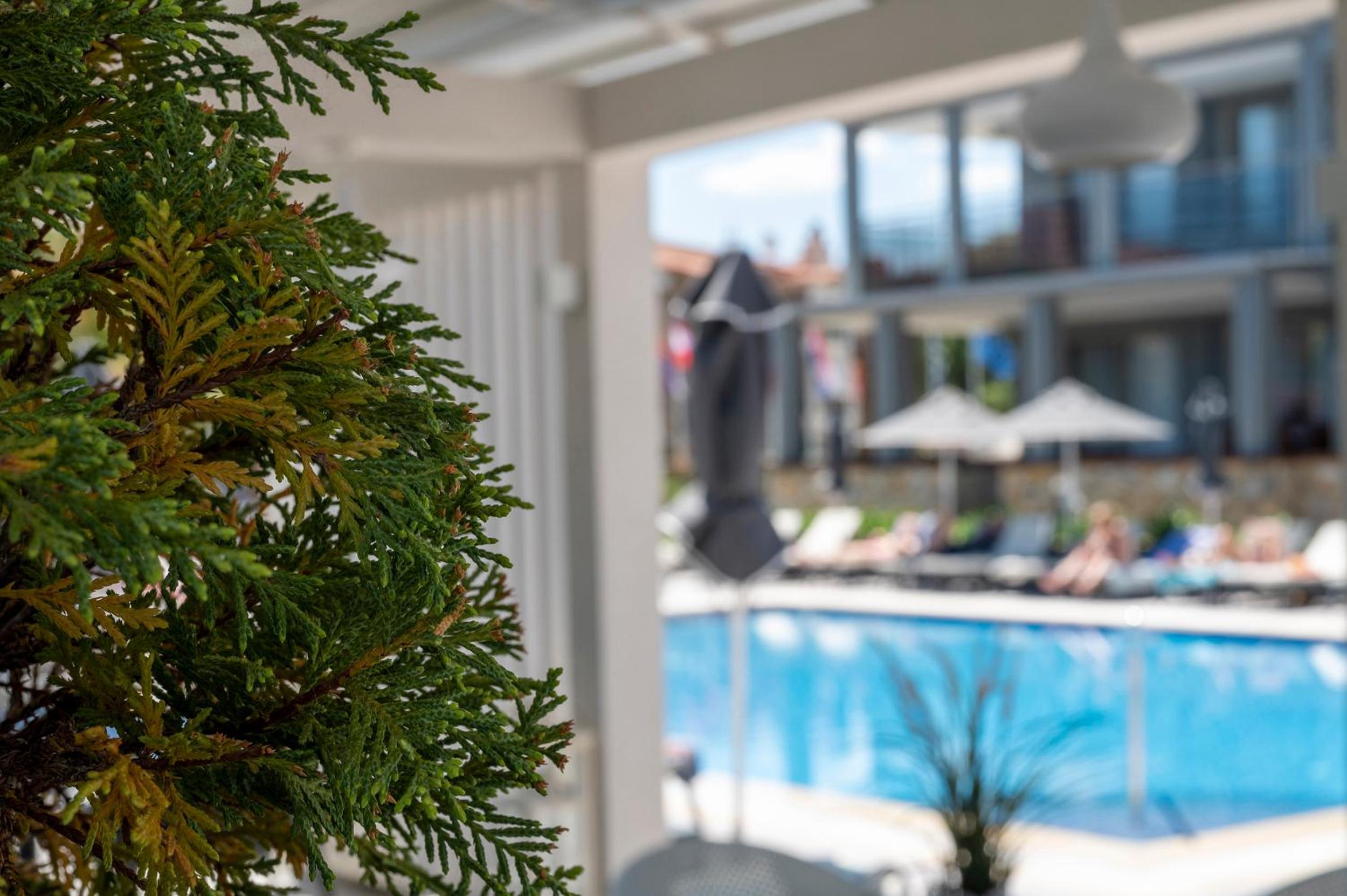 Фото Dionysos Hotel & Suites