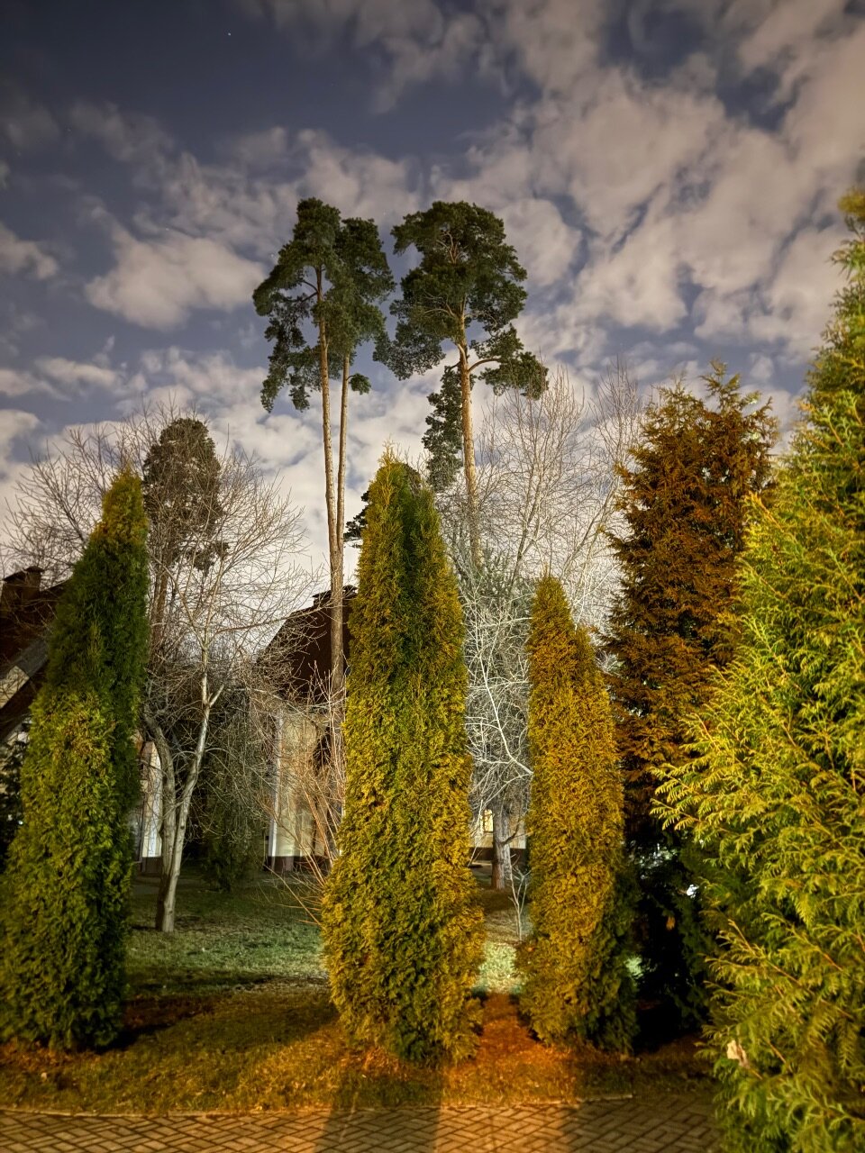 Фото Дворянское гнездо