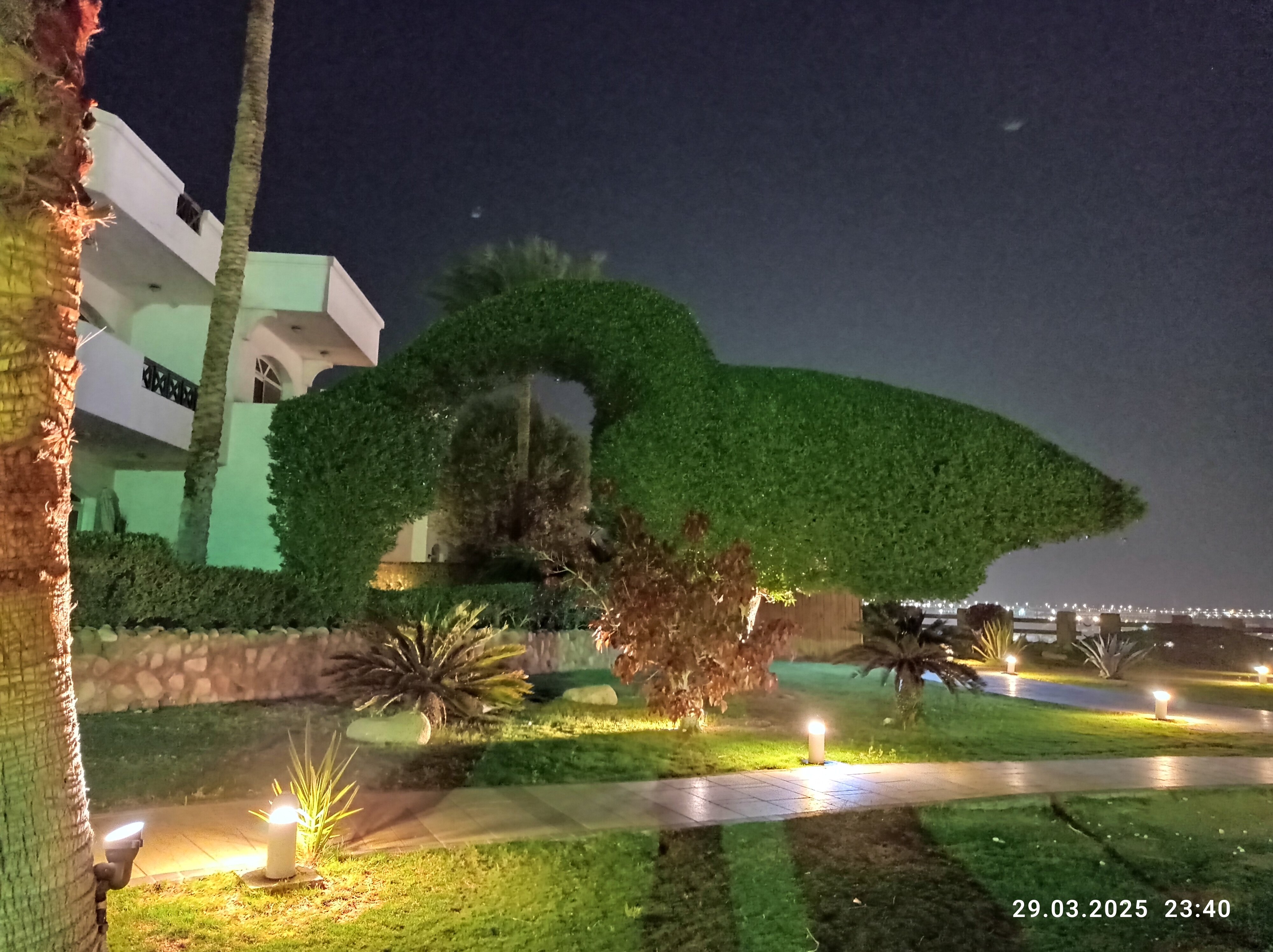 Фото Naama Bay Hotel & Resort