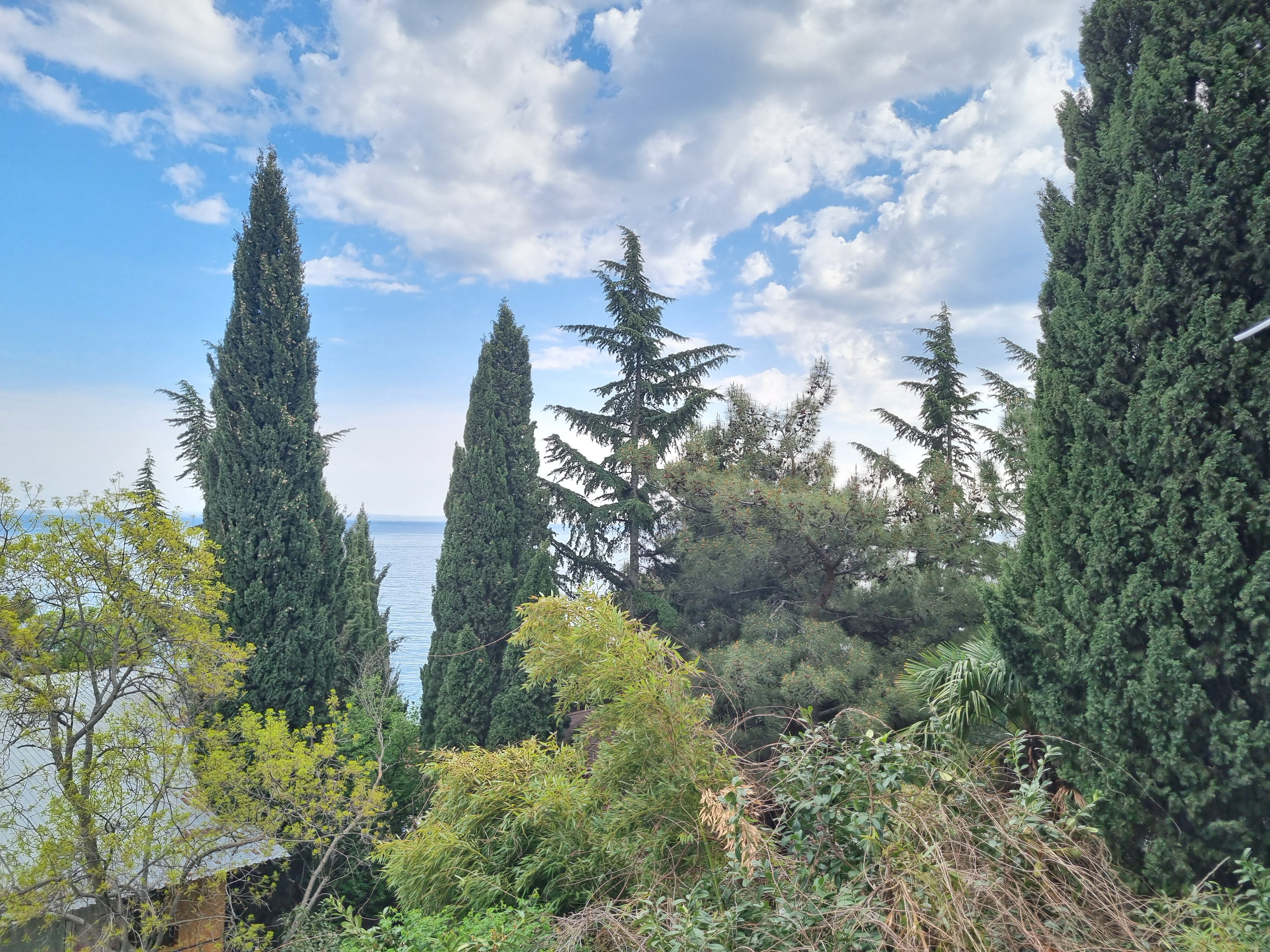 Фото Морской бриз