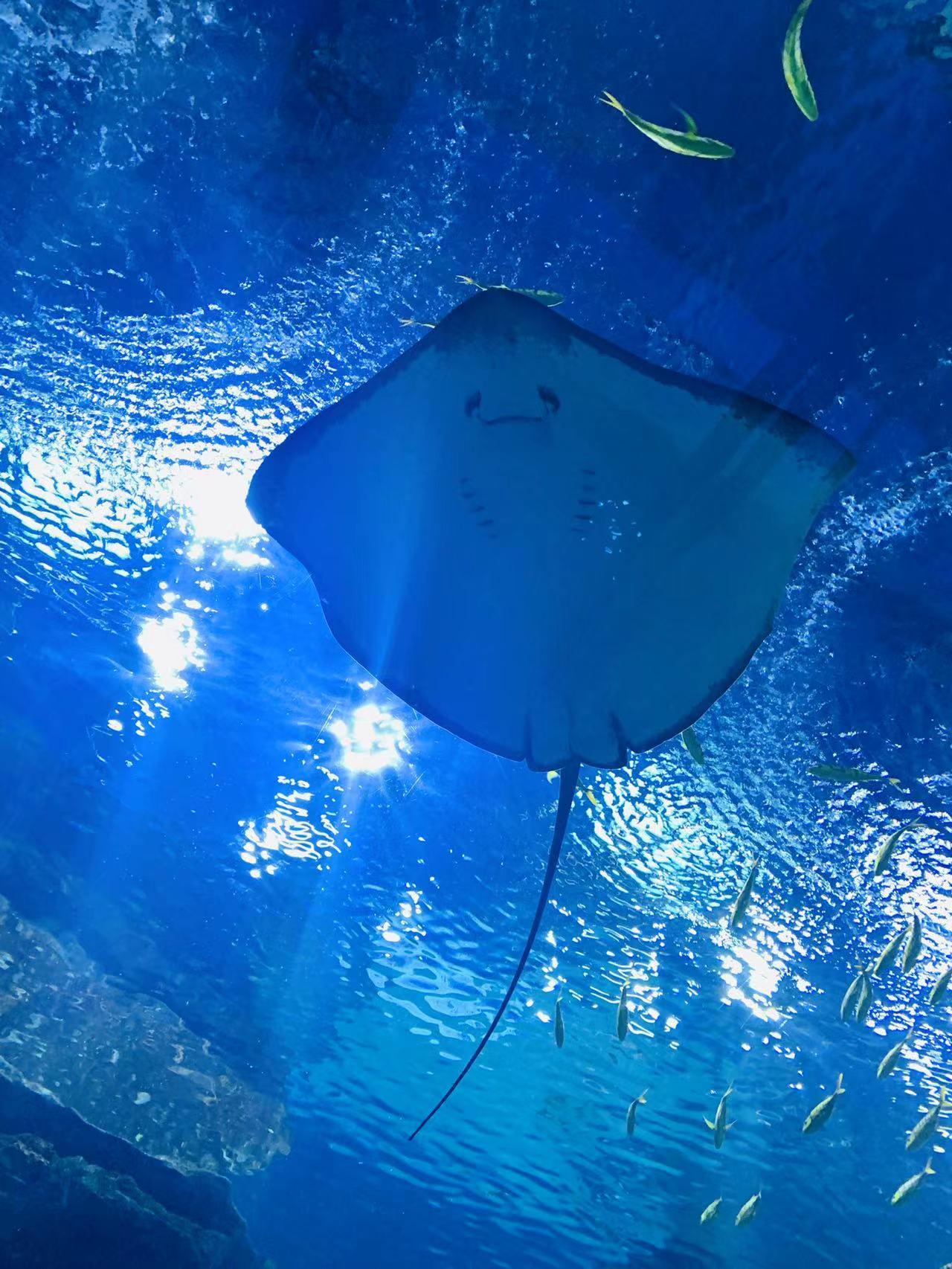 Фото JI Hotel (Shanghai Kangqiao Xiuyan Road)