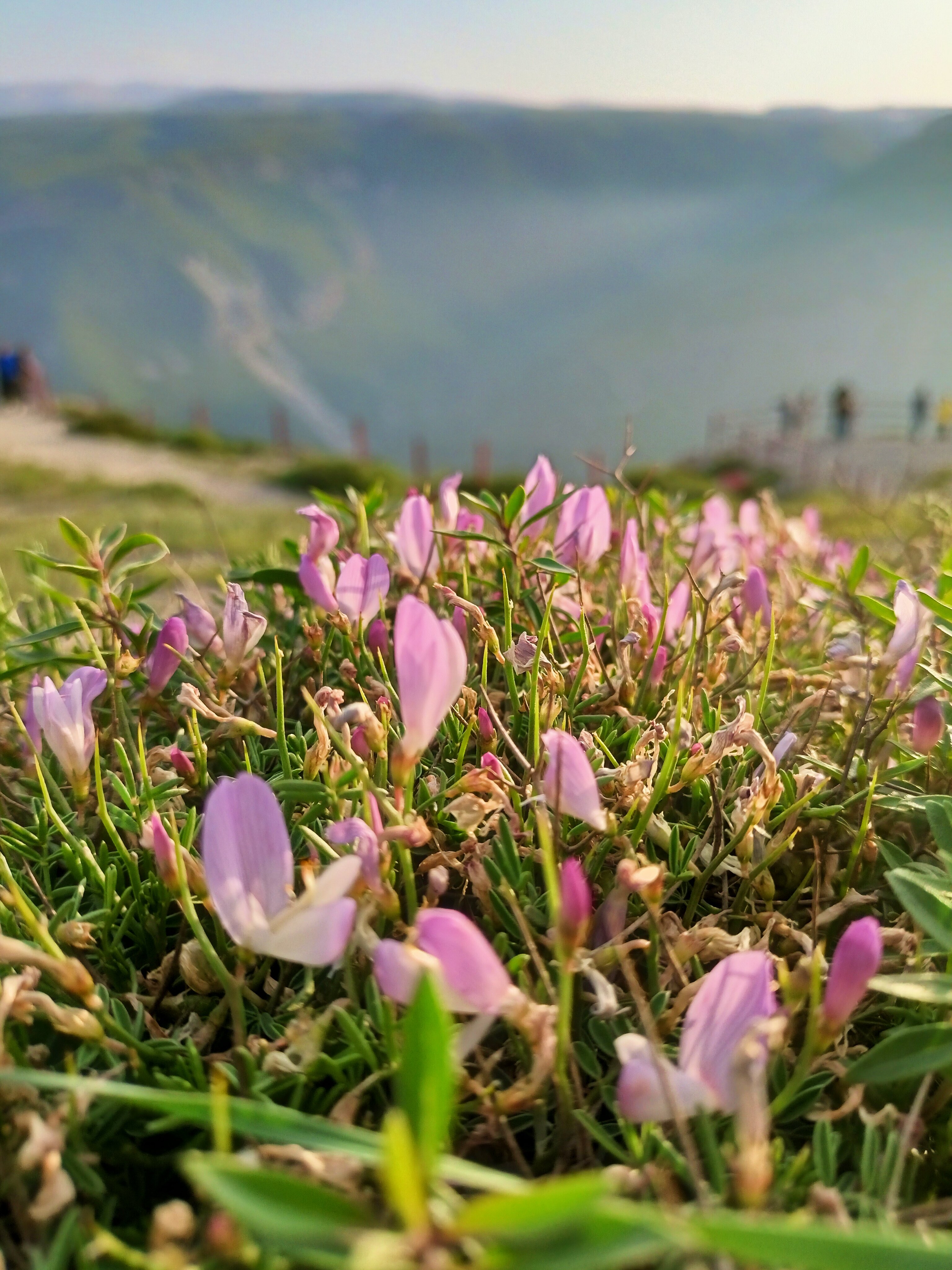 Фото Каньон