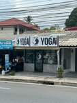 Black Cat & White Cat Yoga Studio (Surat Thani, City of Ko Samui, 4169), yoga studio