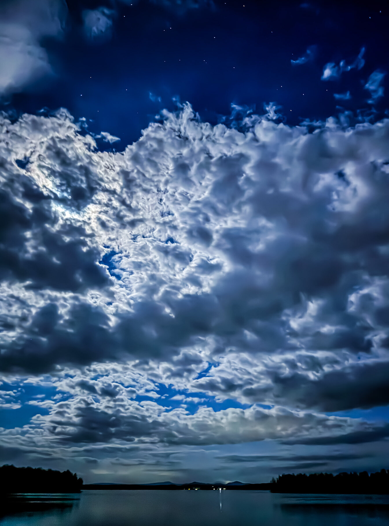 Фото Светлячок